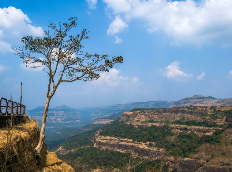 sonika-agarwal-7E_jAw34RFA-unsplash